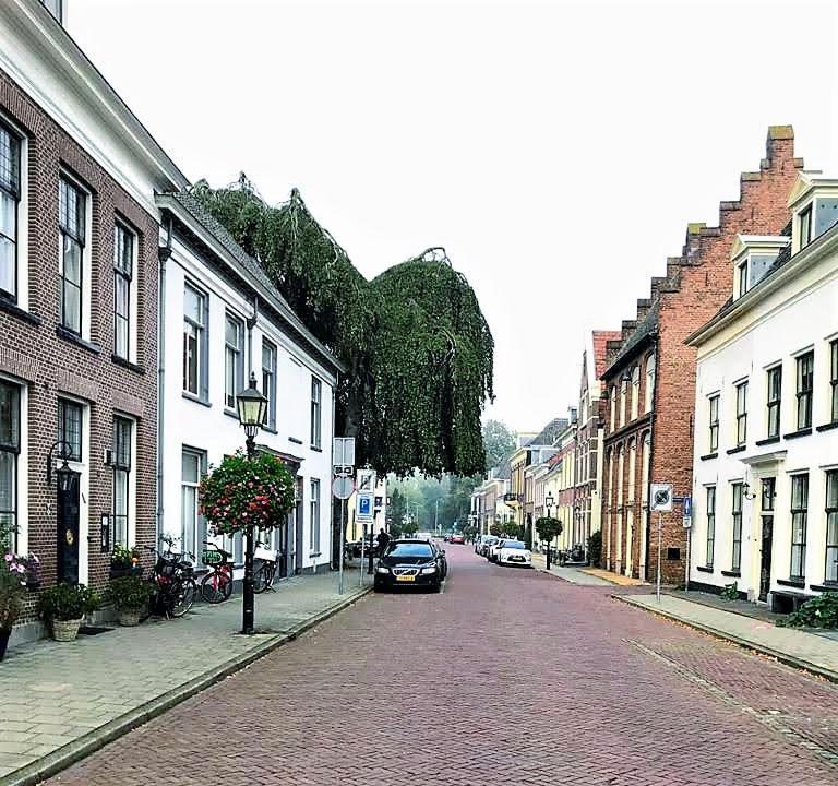 Bed and Breakfast De Buurvrouw Nr.18 Doesburg Exterior foto